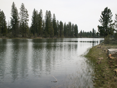 East view of Kramer bass pond
