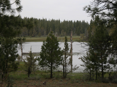 South view of Kramer bass pond