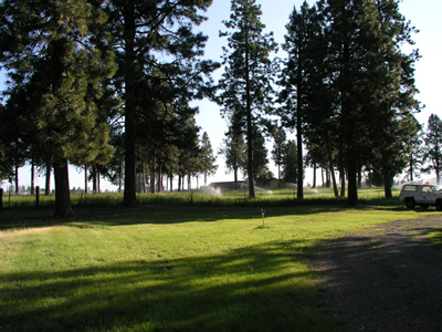 View of the grounds of the RV park