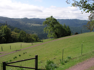 Stuning view of Clarke Lodge surrounds