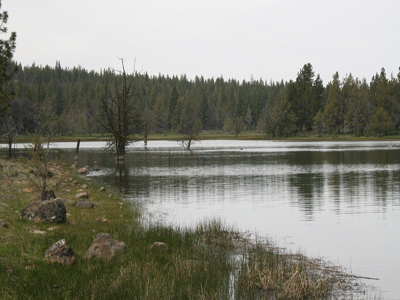 Kramer bass pond from the north shore