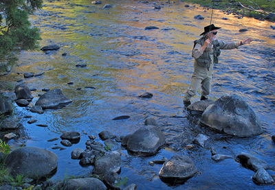 Great fly fishing stream near Blue Bucket Inn.