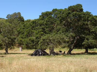 Another pristine camping site