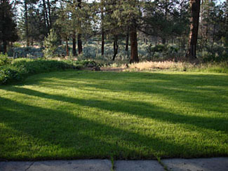 backyard of last cast hat creek